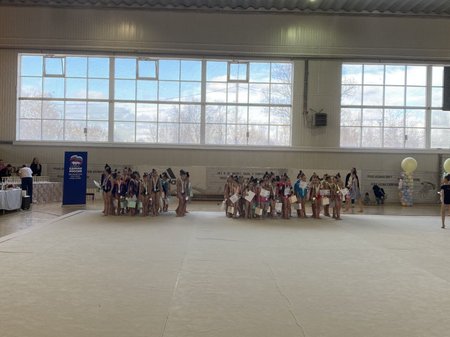 Открытое первенство по художественной гимнастике организовал актив проекта детского спорта в Щёлкове