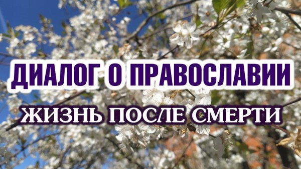 «Диалог о православии» от 15.05.2024 (Жизнь после смерти)
