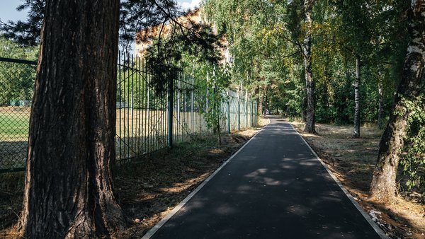 Протоптанное станет отстеленным