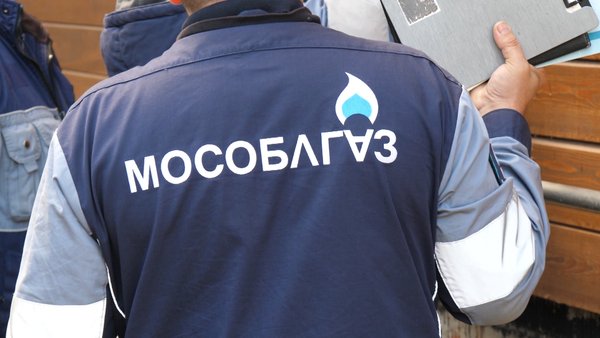 Несколько жилых домов в деревнях Моносеево и Алмазово подключили к газу