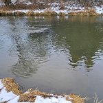 0SqQKNeo2Mxp079t33GSgN8Y3gQznJzOnTtgIiUgISXoZsPxRp0gVaJ7mtpzx30SjxN3ZVXO48K6EAH6l8czls1IyHJATmus