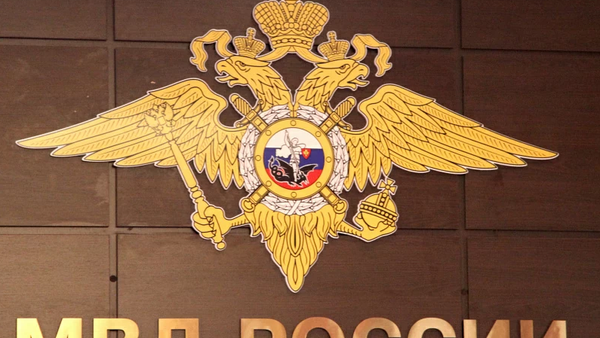 Ирина Волк: показатель раскрываемости убийств и покушений на убийство в Российской Федерации достиг исторического максимума