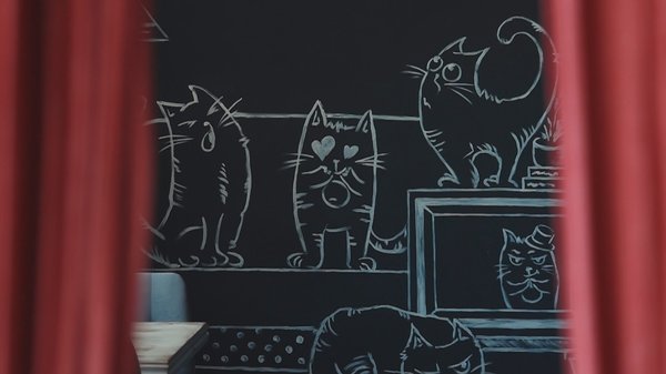 С порога нас встречают…котики
