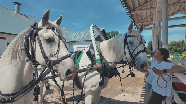 Пристяжных – лошадей по бокам от коренного – Леонид подбирал уже под Камериста