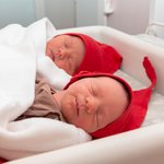 2uew0vmwik36e0nqotksfi2104ye73mp