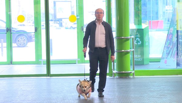 Долой стереотипы! Гипермаркет «Глобус» – одно из немногих мест в Щёлкове, где можно совершать покупки с собакой.