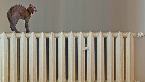 Отопительный сезон стартует сегодня. В первую очередь мы подадим тепло в социальные учреждения: школы, детские сады и медицинские организации.