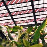 4prdiqi1ag5nojggfmof7q5a109z0uty