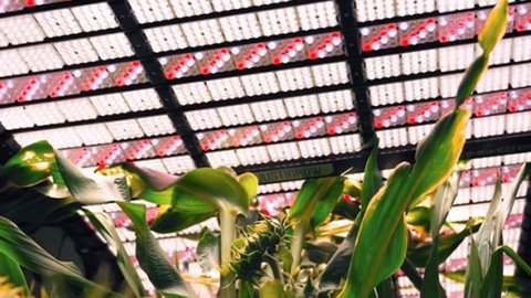 4prdiqi1ag5nojggfmof7q5a109z0uty