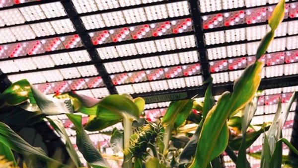 4prdiqi1ag5nojggfmof7q5a109z0uty