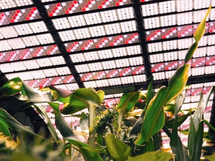 4prdiqi1ag5nojggfmof7q5a109z0uty