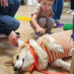 5fy7qg93w1sscaq3lqkd3xii0wtn0r5l