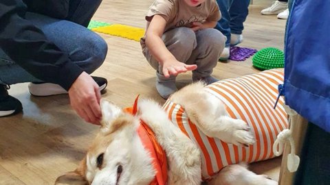 5fy7qg93w1sscaq3lqkd3xii0wtn0r5l