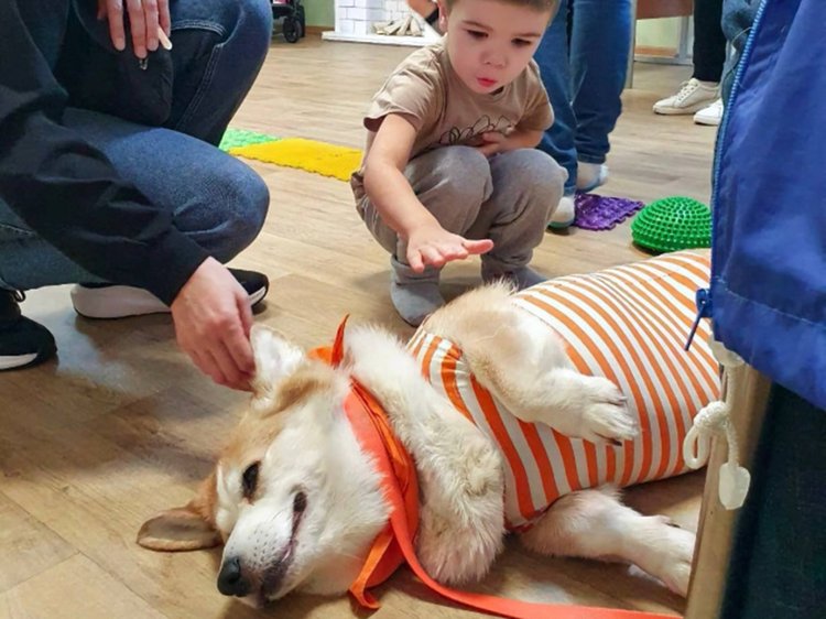 5fy7qg93w1sscaq3lqkd3xii0wtn0r5l