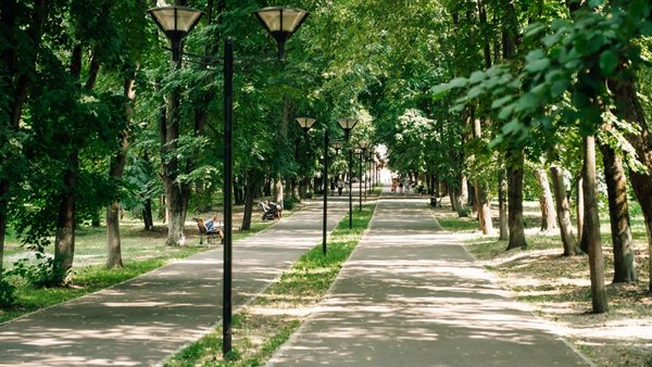 «МОё Подмосковье» - узнайте, чем живут парки Подмосковья