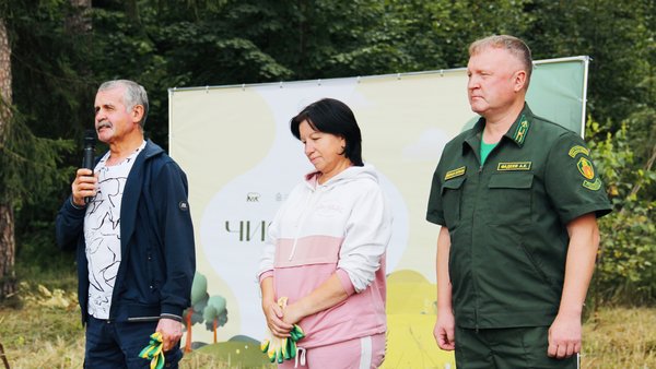 Чистый лес