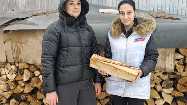 Григор Агекян приобрел дрова на холодный период