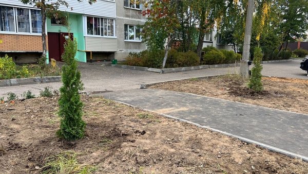 Продолжаем рассказывать про акцию «Наш лес. Посади своё дерево»