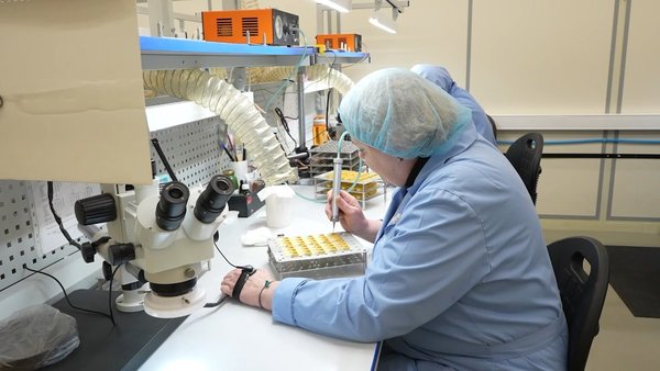 Сотрудники ФЗМТ за работой