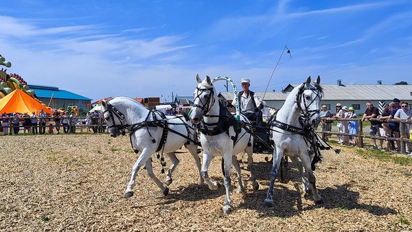 IMG_20250712_121027