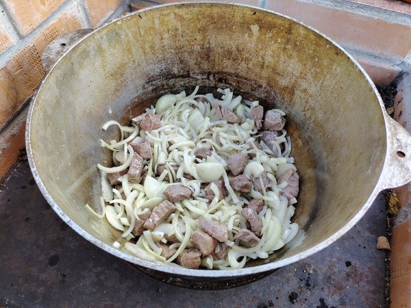Мясо и свежезасыпанный лук ждут остальных участников банкета
