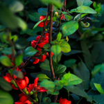 IMG_20260522_075033