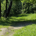 IMG_20260723_140652