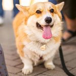 IMG_20260817_100411