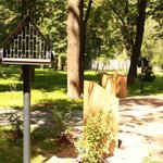 IMG_20260819_094907