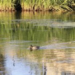 IMG_20260917_075248