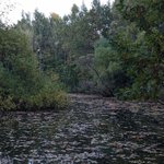 IMG_20260923_075405