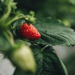 IMG_20260923_120512
