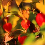 IMG_20261020_085040