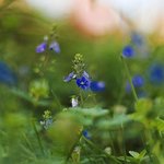 IMG_20261021_074500