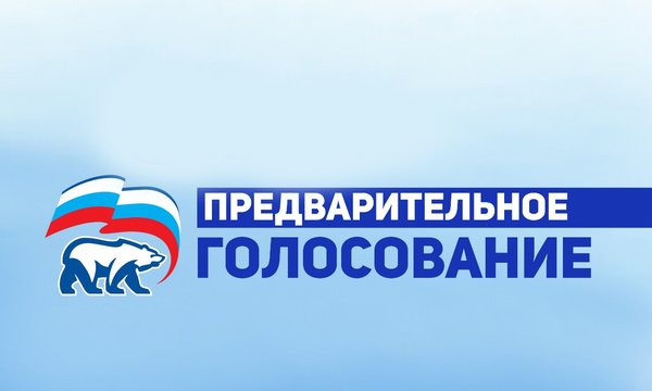 Ход голосования 22 05