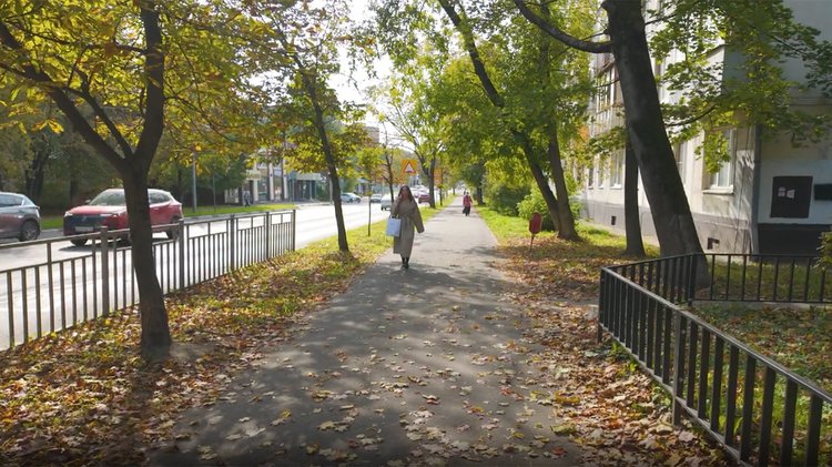 Комарова 1