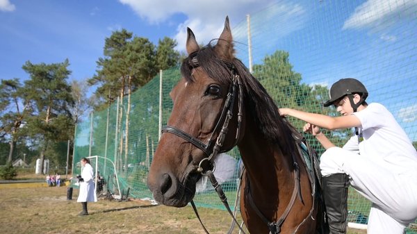 Конкур конное шоу в Протасове