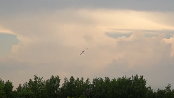 Крылья