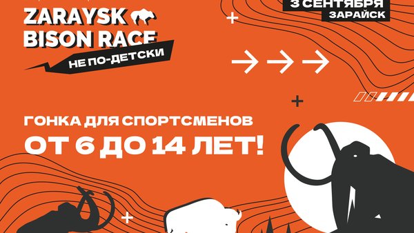 Экстремальный забег «Zaraysk Bison Race. Не по-детски» пройдёт 3 сентября в Зарайске
