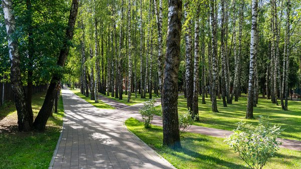 Парк