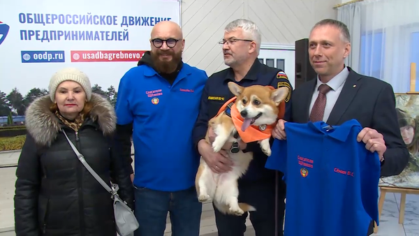 Спасатели в Гребнево