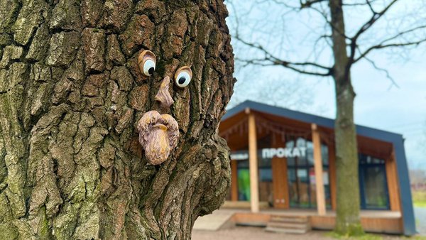 Wl2hLA91dwEFKH_nON_NMMobHh3VVC88c7vzMdjSk9nNh_OZWqLiWdrSXY-6j1H70DHCXtSTFUjmqEBln2QCyonD