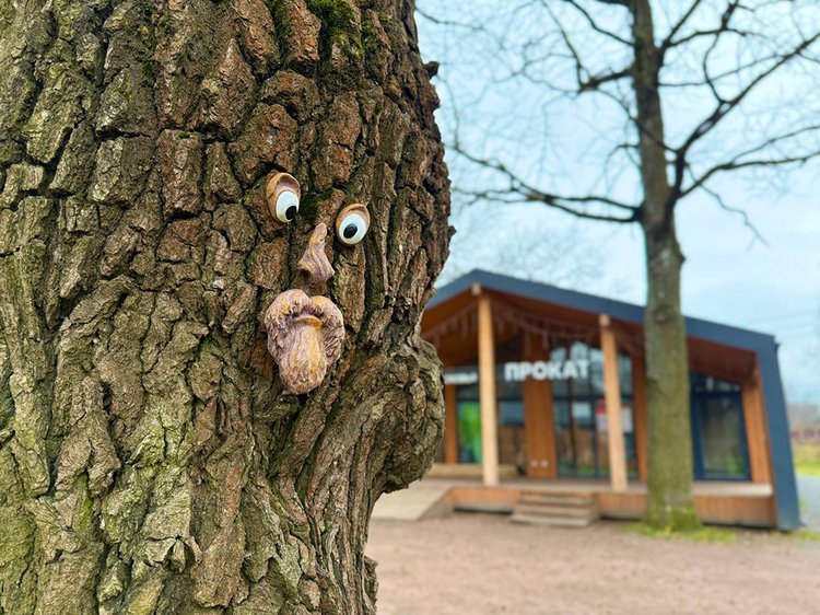 Wl2hLA91dwEFKH_nON_NMMobHh3VVC88c7vzMdjSk9nNh_OZWqLiWdrSXY-6j1H70DHCXtSTFUjmqEBln2QCyonD