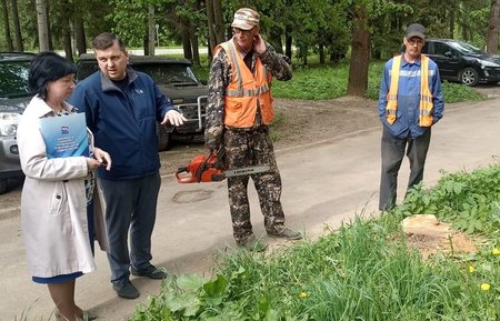 «Единая Россия» проверяет качество дворов по Фрянове