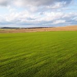 aerial-drone-view-nature-moldova-sown-fields-trees-distance-cloudy-sky