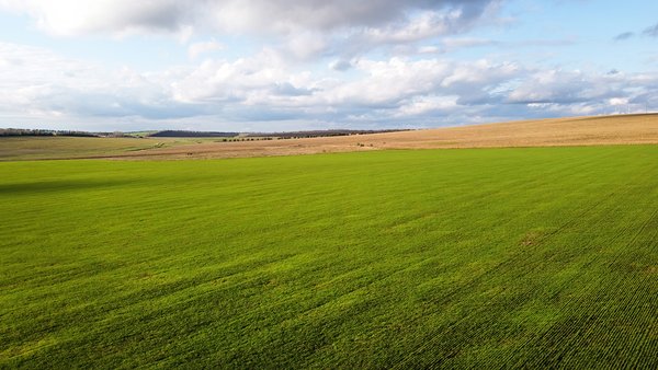 aerial-drone-view-nature-moldova-sown-fields-trees-distance-cloudy-sky