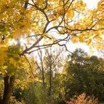 autumn-landscape