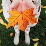 autumn-leaves-woman-hands