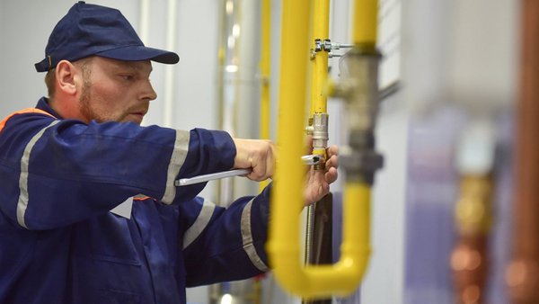 На этот раз сотрудники газовой службы отключили жителя по адресу: посёлок Загорянский, улица Цветочная, д. 11, кв. 1.