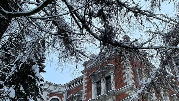 быкphoto_2023-02-22_11-23-42
